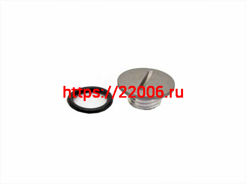 Пробка вмт левой крышки 172FMM (CB250D-F)