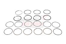 Кольца поршневые STD комплект Haval H9, H6 Coupe, F7 2.0 4C20 (1004900XEC01)