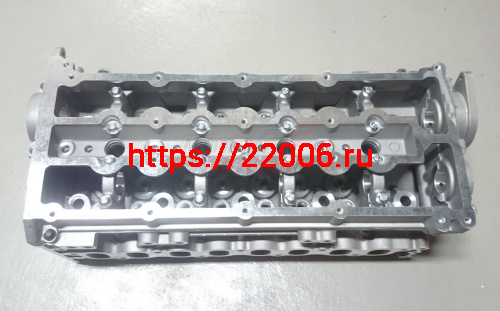 Головка блока цилиндров H5 Дизель (1003100-ED01)